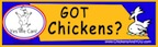 got chickens bs tn